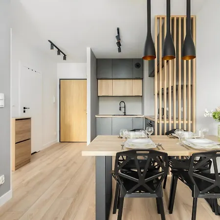 Spacious Niemena With Free Garage By Renters Apartman