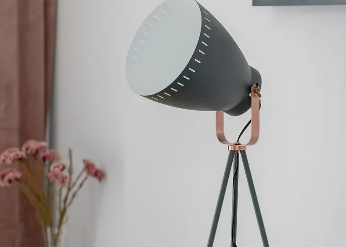 Spacious Niemena With Free Garage By Renters 아파트 *