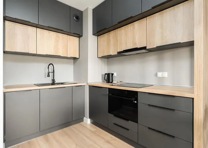 아파트 Spacious Niemena With Free Garage By Renters 포즈난